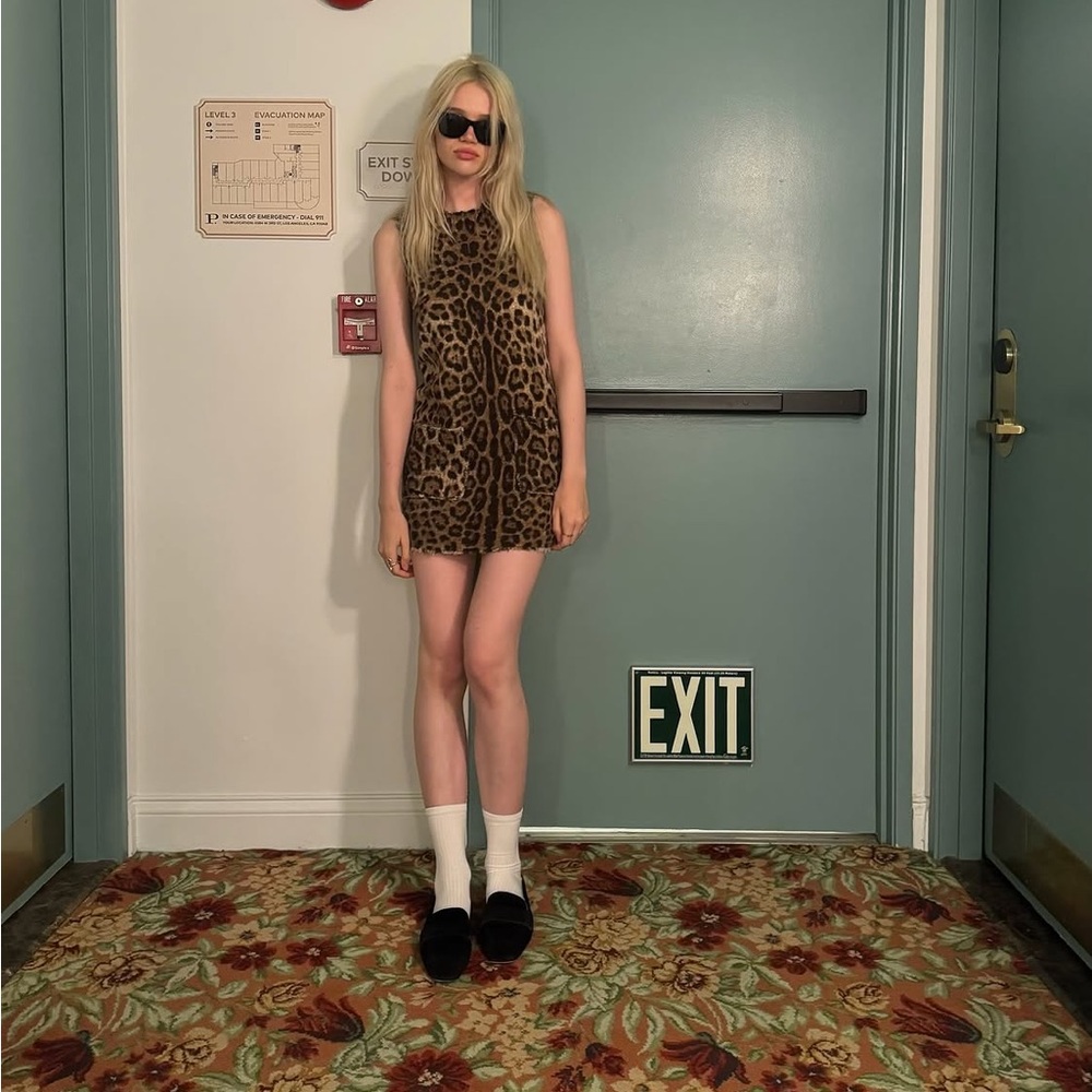 Dolce & Gabbana Leopard-Print Mini Dress in Brown and Black